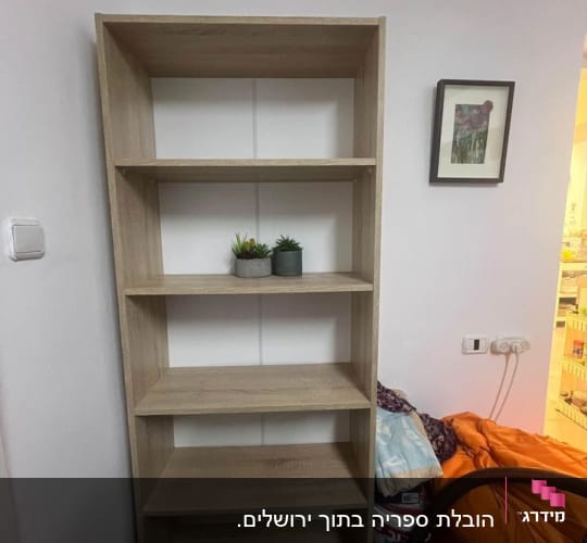 מדף עץ עם עציצים קטנים על מדף אחד